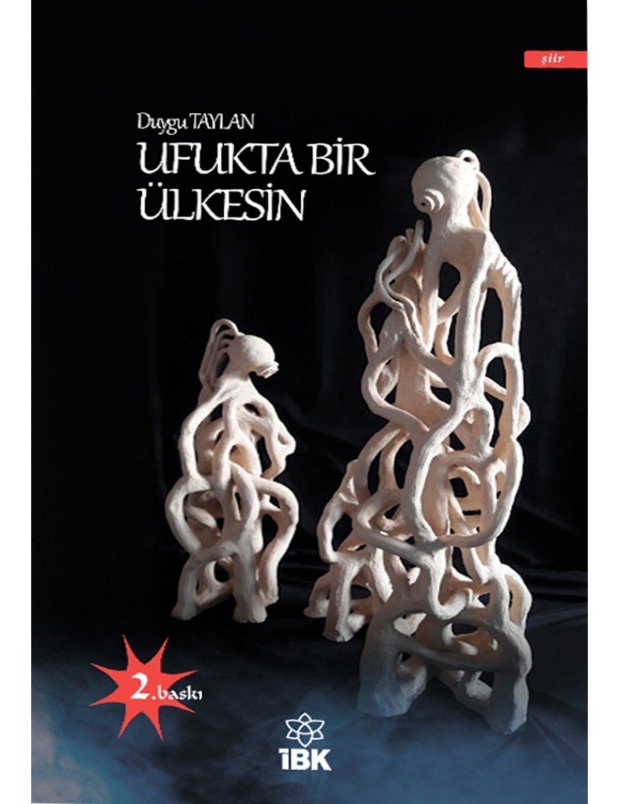 UFUKTA BİR ÜLKESİN